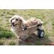 wa. Work dog for 2 wheel baby-walker * wheelchair for small dog ~8.5kg and downward 