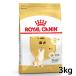  Royal kana n. собака средний * высота . собака для 8+ 3kg собака капот корм для собак корм для животных D