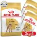 ���C�����J�i�� �v�[�h�� �����p 3kg 4�Z�b�g �� �t�[�h �h�b�O�t�[�h ���K�i �h�b�O�t�[�h �h���C ���� �A�_���g 10������ȏ� 8�΂܂�