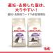 ���C�����J�i�� �L 2kg �X�e�A���C�Y�h ���L 12������ȏ� 7�΂܂� ��D ���� �h���C�t�[�h �v���~�A���t�[�h �얞�C�� ���K�i �֘A�摜2