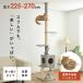 �L���b�g�^���[ �˂����� �X���� �ȃX�y�[�X �L�^���[ �������߉� �L �܂Ƃ� ���� �����F���D�t �K�i�t���˂�����|�[���^���[ YS133282 *