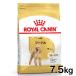  Royal kana n собака пудель для взрослой собаки 7.5kg корм для собак капот собака для собака 
