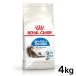 |5%OFF купон иметь | Royal kana n кошка 4kg салон in -дверный длинный (long) волосы - салон . жизнь делать длина шерсть. для взрослой кошки dry сухой корм после рождения 12 месяцев . из корм для кошек 