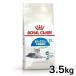 |5%OFF купон иметь | Royal kana n кошка Индия a салон . жизнь делать средний высота . кошка для sinia кошка для Индия a+7 3.5kg корм для кошек кошка для сухой корм 