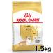 Royal kana n собака чихуахуа средний * высота . собака для 1.5kg корм для собак капот собака для собака 