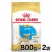  Royal kana n чихуахуа . собака для 800g×2 шт. комплект стандартный товар собака собака BHN капот dry papi-. собака маленький собака . собака маленький размер собака 