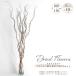  сухой цветок . дракон .......N кожа имеется 5шт.@×2 комплект итого 10шт.@ нет окраска ветка было использовано натуральный натуральный материалы природа аранжировка дисплей модный интерьер 