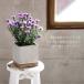 �� �v�����^�[ FEEL TH GARDEN �Z�����g�v�����^�[ �X�N�G�AL ��M�t �ꌊ�L �S.�T������ �l�p �A�ؔ� ���J�o�[ �K�[�f�j���O ���| ���_�� ������� �C���e���A �֘A�摜4