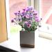 �� �v�����^�[ FEEL TH GARDEN �Z�����g�v�����^�[ �X�N�G�AL ��M�t �ꌊ�L �S.�T������ �l�p �A�ؔ� ���J�o�[ �K�[�f�j���O ���| ���_�� ������� �C���e���A �֘A�摜5