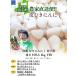 �Ⓚ �ނ��ɂ�ɂ� �X���c�q�Y �������ɂ�ɂ� ��ނ��ς� 1kg �_�ƒ��� ���Y�� �֘A�摜3