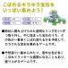 ����߂����� �����낭��@�{�[�h�Q�[�� �m�� �L�b�Y�Q�[�� ��� �X�� �e�q ���� �V�� �������� �p�[�e�B�[ �M�t�g �v���[���g �֘A�摜3