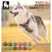  dog Harness easy installation comfortable light weight large dog small size dog Truelove brand harness soft pad steering wheel Harness improvement version Easy click Harness 