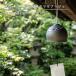 �u���� ���� ���Ԃ��Ɠu���Ẵ}���A�[�W�� �J�^ ���� �Z���t�� tsuneoka ceramics tsuneoka-516