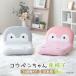 �R�E�y������� ���֎q ���{�� ���N���C�j���O �R���p�N�g �����؂񂿂�� �y�� ���킢�� �L�����N�^�[ ����֎q �t���A�`�F�A �C���e���A �v���[���g