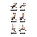 WASAI �g���[�j���O�x���` ���b�O�G�N�X�e���V���������b�O�J�[���@�\���� �y�t���b�g/�C���N���C��/�V�b�g�A�b�v�z�}���`�g���[�j���O�}�V�� MK035C �֘A�摜3