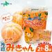  рефрижератор мандарин ......2 штук 8 пакет фрукты . лет . подарок комплект фрукты кожа шелушение . рефрижератор mi can Ehime префектура производство 