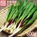 line человек чеснок a собака лук-батун 500g Hokkaido производство сырой рефрижератор 4 месяц последняя декада -5 месяц сверху . line человек чеснок gyouja чеснок дикоросы натуральный 