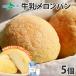 Hokkaido milk melon bread 5 piece set small gift inside festival . reply freezing bread your order sweetened bun difference . inserting hand earth production 