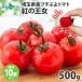  small .. tomato .. . woman 500g Father's day mini tomatoes Saitama prefecture production sugar times 10 times and more . earth production direct delivery from producing area your order 