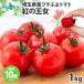  маленький .. помидор .. . женщина 1kg осталось жара видеть Mai . мини помидоры Saitama префектура производство сахар раз 10 раз и больше . земля производство прямая поставка от производителя ваш заказ 