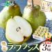 �R�`���Y �G�i���t�����X ��3kg 11����-12�����{�o�ח\�� �m�� �m�i�V �m�Ȃ� ���t�����X �ʕ� ������ �t���[�c ���Ε�