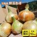[ превосходящий товар ] Awaji Island производство новый лук репчатый 10kg бесплатная доставка . сырой Hyogo префектура рекомендация бренд прямая поставка от производителя большой шар лук лук репчатый высший класс товар подарок .. для ..