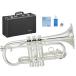 YAMAHA(ޥ) YCR-2610SIII E ͥå å ֥饹 ɳڴ Eb YCR-2610S-3 Cornet Silver̳ƻ  ΥԲ