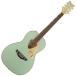 GRETSCH( Gretsch ) G5021E Rancher Penguin Mint Metallic пингвин Lancia - акустическая гитара электроакустическая гитара specification 