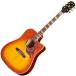 Epiphone( Epiphone ) Hummingbird Standard EC Cherry Sunburst акустическая гитара Hamming bird электроакустическая гитара specification [ подведение счетов специальная цена ]