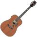 Ibanez( Ibanez ) PF34MHE NT акустическая гитара электроакустическая гитара [ подведение счетов специальная цена ]