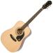 Epiphone( Epiphone ) Songmaker DR-100 NAT акустическая гитара начинающий введение . рекомендация by Gibson [ весна специальная цена! pick 20 листов подарок ]
