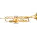 YAMAHA(���}�n) 5�N�ۏؑΏ� YTR-2330 �g�����y�b�g ���b�J�[ �S�[���h B�� Trumpets�@�ȉ��Ή��s�� �k�C�� ���� ���� �֘A�摜1