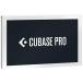 Steinberg( start Inver g) CUBASE PRO general version [ obtained commodity VERSION 13 ]
