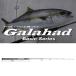 yamaga blank sGalahad гарантия - do61 6 jigging модель 