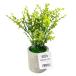  flower pot green pot gray K/ AOI goke artificial flower fake green 357749