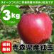 紅玉りんご 加工用 訳あり 青森県産 約3kg