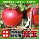 紅玉りんご 贈答用 青森県産 約5kg