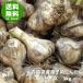 にんにく 種球 種 国産 Lサイズ 3kg 青森 福地ホワイト六片 送料無料