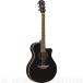 Ѥˤ⤪Ǥ Yamaha ޥ 쥢 APX600/BL(֥å)(ƥå)(ͽ)