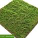 yo. real feeling Moss human work moss moss mat fake green human work plant artificial flower lawn grass raw mat 