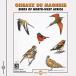 Jean Claude Roche / Jerome Chevereau - Birds of Northwest Africa CD Х ͢