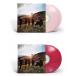 Day6 - Sunrise - Limited Color Pressing LP record foreign record 