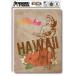 �ϥ磻���󥹥ƥå��� HAWAIIAN STICKER 11 SK296 �ϥ磻 ���ƥå��� ���å� ����