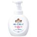 ライオン キレイキレイ 薬用泡ハンドソープ シトラスフルーティの香り 本体 大型サイズ 500ml