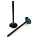 VERTEX ƥå Titanium Exhaust Valve TF250ES CABALLERO EC 250 F REPLICA CAMI SIX DAYS 300 WR YZ 󥸥Х֡ӵХ 󥸥ѡ