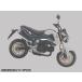 ENDURANCE ǥ  ॹƥåå HONDA ۥ ƥåǥ 