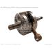 CMS २ SHAFT COMPCRANK CR125R (5) AUSTRALIA EUROPEAN DIRECT SALES USA (6) (7) HONDA ۥ 󥯥ե 󥸥ѡ 󥸥