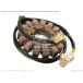 CMS �������२�� (210030144) STATOR KAWASAKI ���掠�� �쥮��졼�������쥯���ե����� ������