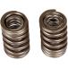 BBR Motorsports BBR Motor Sport HIGH-PERFORMANCE VALVE SPRINGS [0926-0209] CRF150F CRF230F HONDA Honda клапанная пружина двигатель детали двигатель 