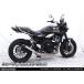 WirusWin WirusWin slip-on глушитель Short труба глушитель вид : Short труба 60Φ Z900RS CAFE KAWASAKI Kawasaki muffler 